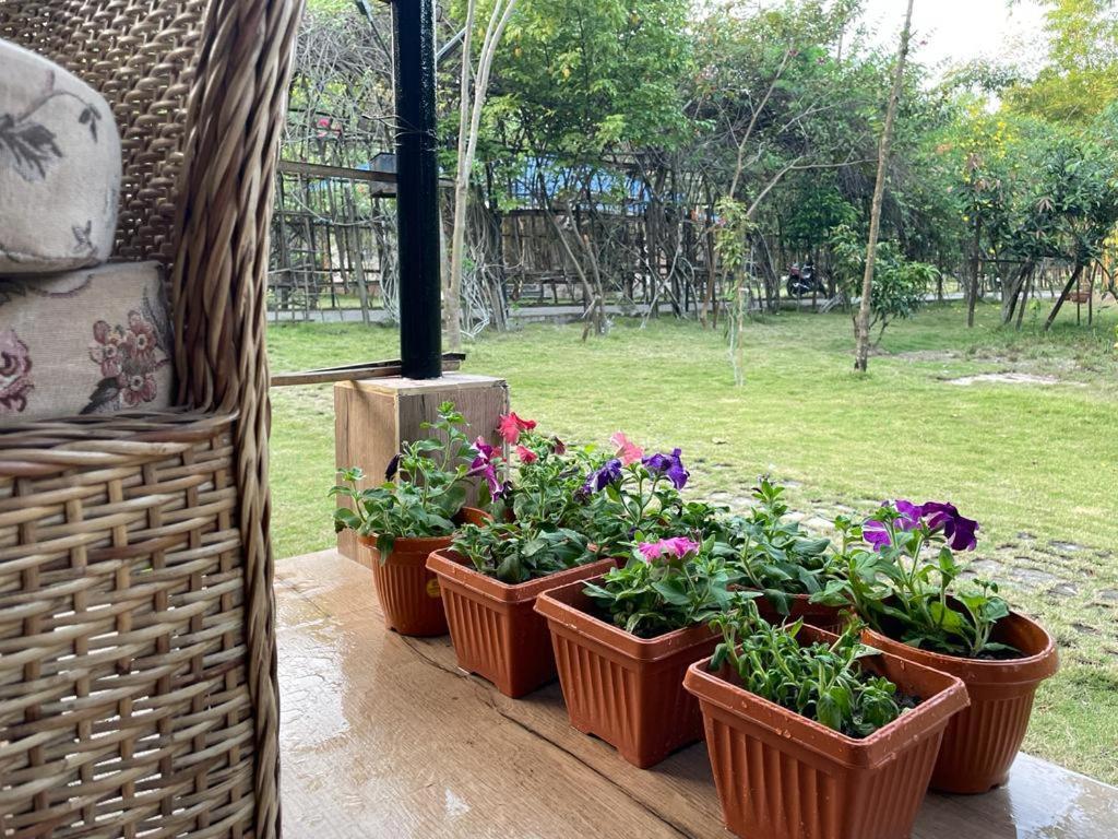 Bougainvillea Retreat & Spa Kaharpara Eksteriør bilde